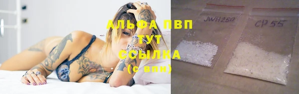 круглые Аркадак