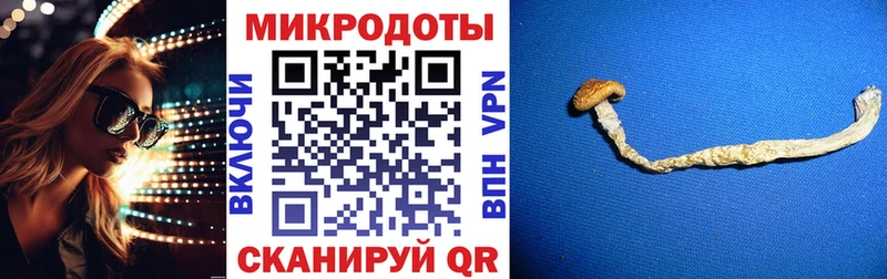 что такое   ссылка на мегу ТОР  Псилоцибиновые грибы Psilocybe  Островной 